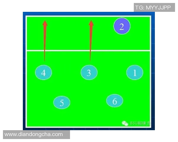 重庆排球队进攻战术全解析深度剖析其战术特点与执行效果